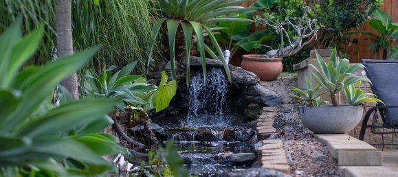 3 bedrooms House in Redlynch, Australia No. 98 19