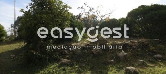 10500m² Land in Abrantes, Portugal No. 64835 2