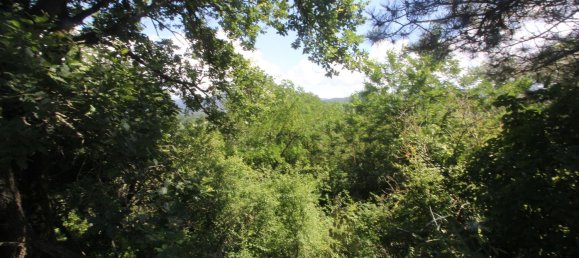 10 rooms House in Cremolino, Italy No. 148063 33