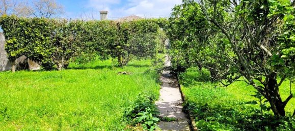 6 bedrooms House in Ribeira Grande, Portugal No. 164732 12