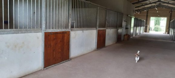 11-Zimmer Haus in Monteriggioni, Italy, Nr. 190398 10