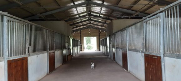 11-Zimmer Haus in Monteriggioni, Italy, Nr. 190398 15