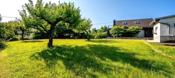 4 rooms House in Penzing, Austria No. 235320 4