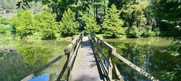 Bungalow de 4 divisões em Seefeld-Kadolz, Austria N.º 158646 17