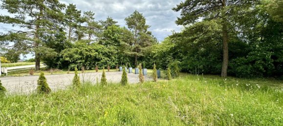 Коммерческая недвижимость 195м² в Вельс, Австрия № 127535 4