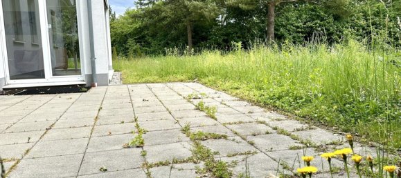 Коммерческая недвижимость 195м² в Вельс, Австрия № 127535 24