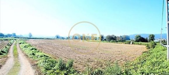 18500m² Land in Vila Nova de Famalicao, Portugal No. 36601 6