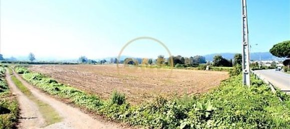 18500m² Land in Vila Nova de Famalicao, Portugal No. 36601 5