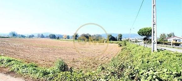 18500m² Land in Vila Nova de Famalicao, Portugal No. 36601 4