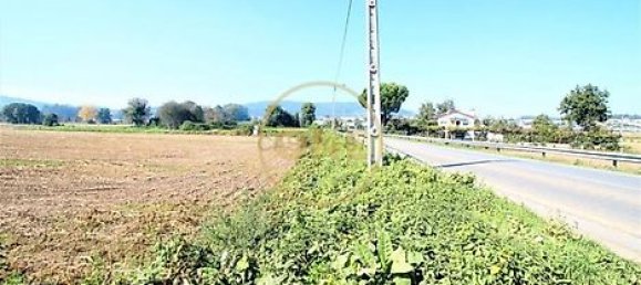 18500m² Land in Vila Nova de Famalicao, Portugal No. 36601 3