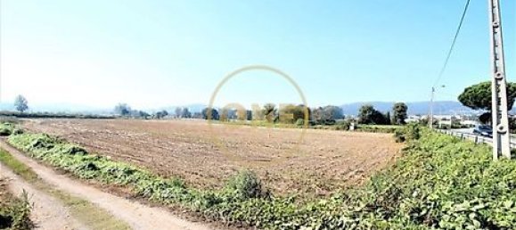 18500m² Land in Vila Nova de Famalicao, Portugal No. 36601 2