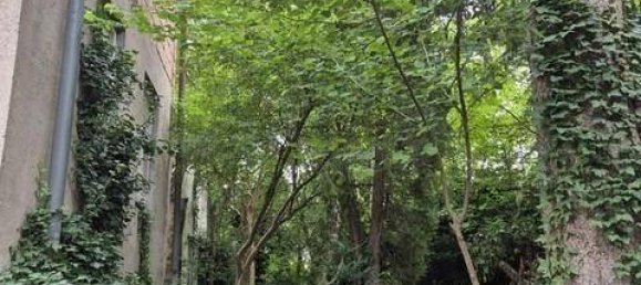 Grundstück in Willendorf, Austria, Nr. 105963 7