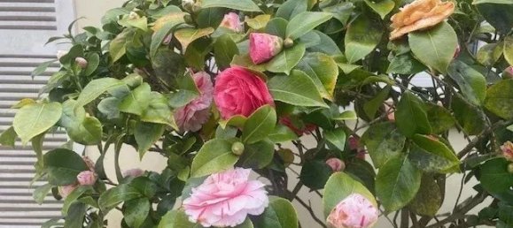 Casa de 3 dormitorios en Apremont, France No. 98382 20