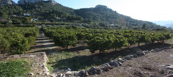 11687m² Land in Benimeli, Spain No. 152792 4