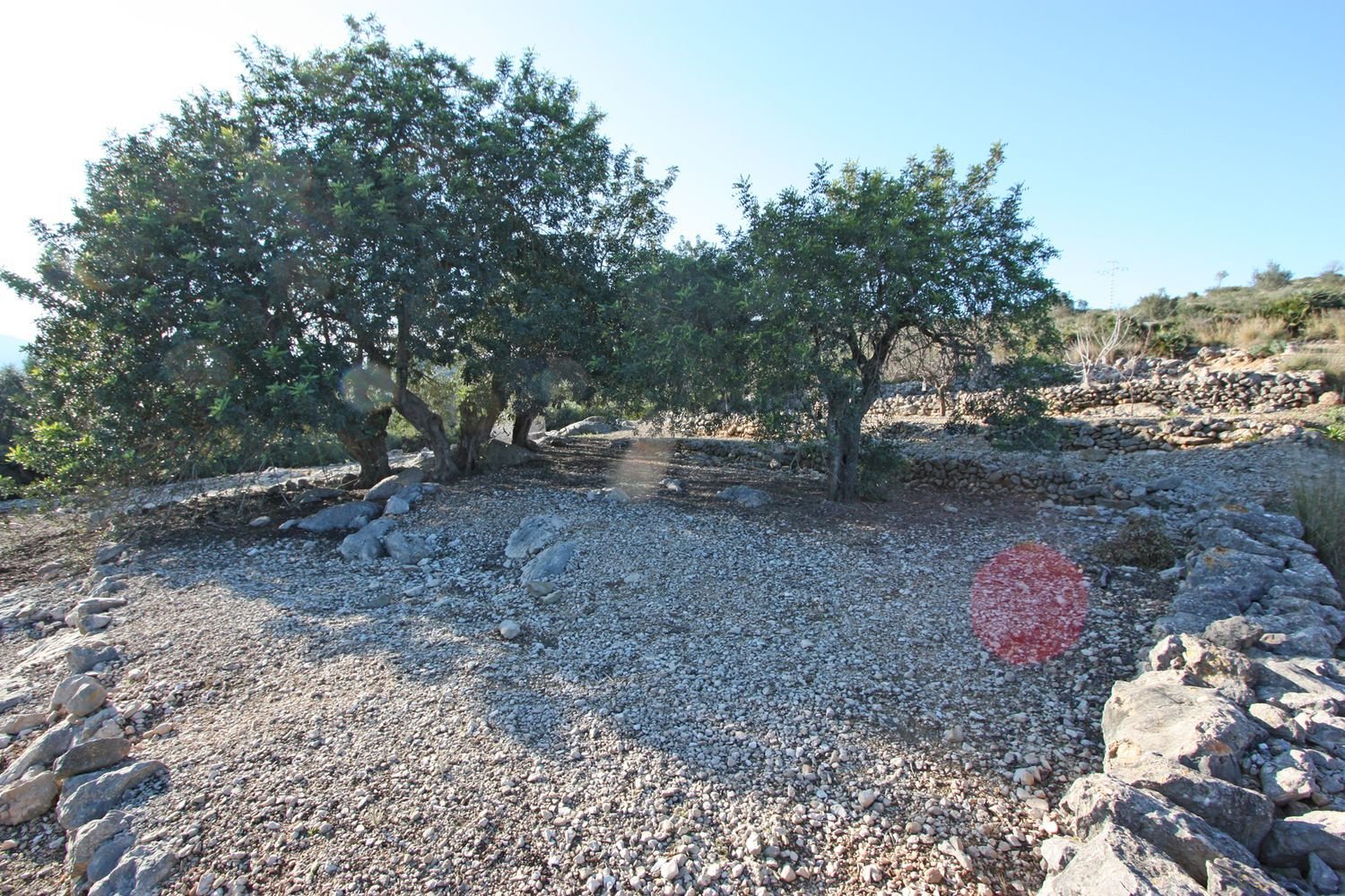 11687m² Land in Benimeli, Spain No. 152792