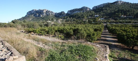 11687m² Land in Benimeli, Spain No. 152792 3