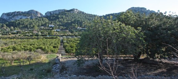 11687m² Land in Benimeli, Spain No. 152792 5