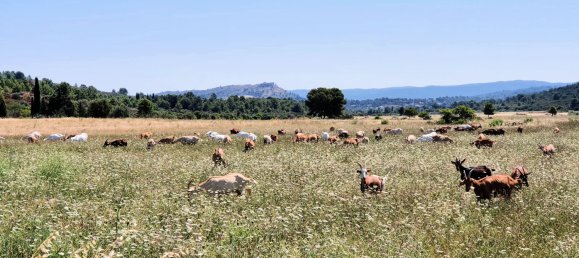 Terreno en Thezan-des-Corbieres, France No. 104595 18