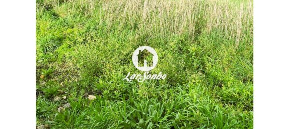 4 Schlafzimmer Haus in Barcelos, Portugal, Nr. 171304 28