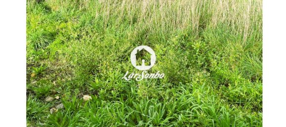 4 Schlafzimmer Haus in Barcelos, Portugal, Nr. 171304 29