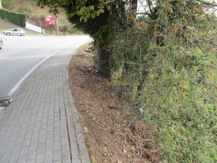 Grundstück in Freamunde, Portugal 500m², Nr. 45736