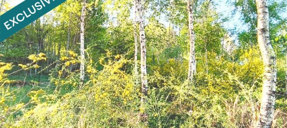 Terreno en Cornimont, France 3123 m² No. 269282 13