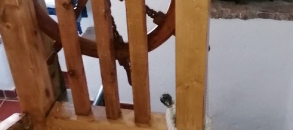 Casa de 2 dormitorios en Tossa de Mar, Spain No. 150620 24