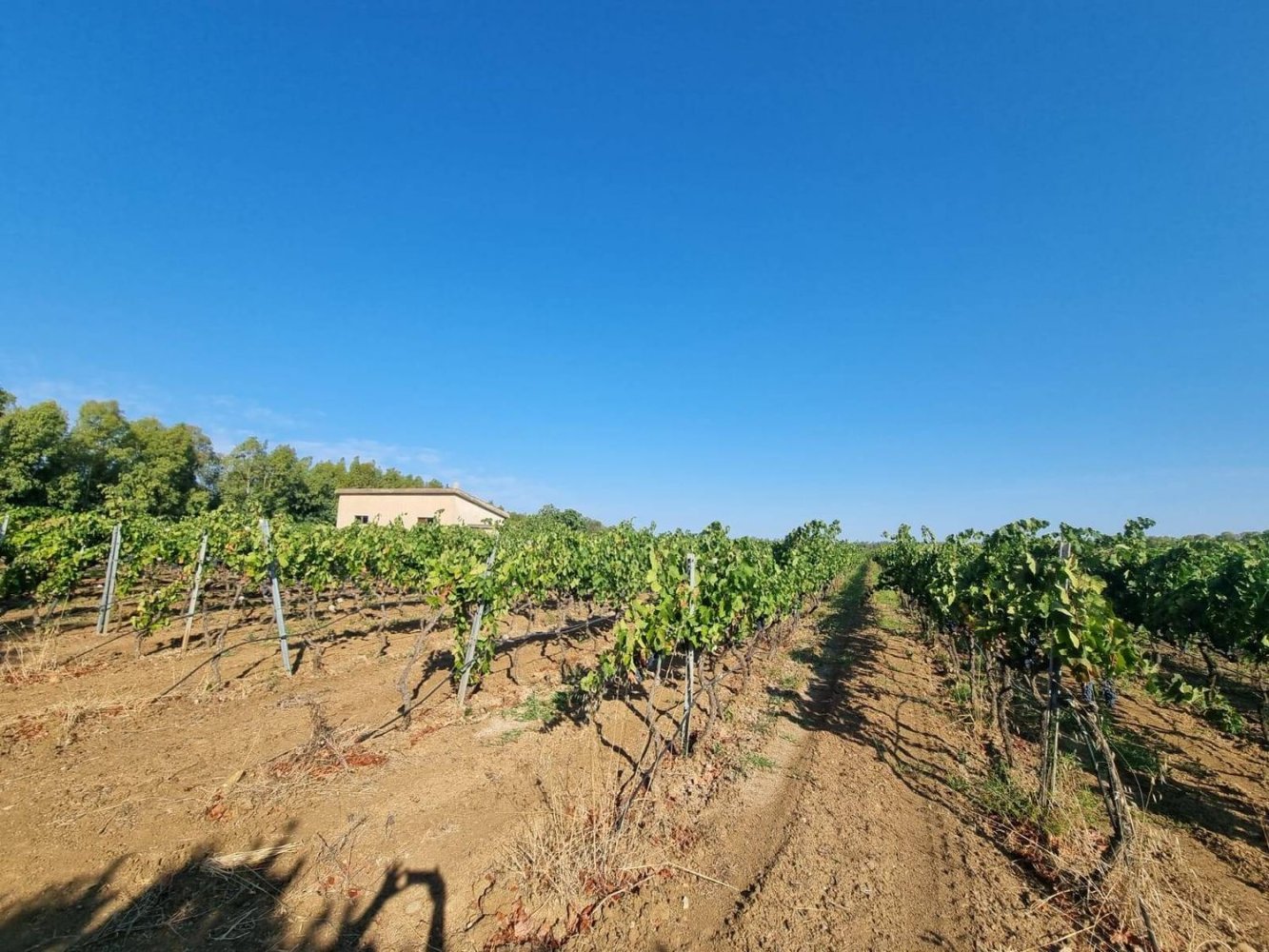  Land in Sardinia, Italy No. 369091