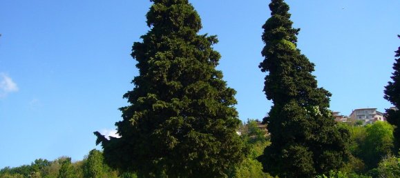 4 chambres Maison à Cingoli, Italy No. 362161 11