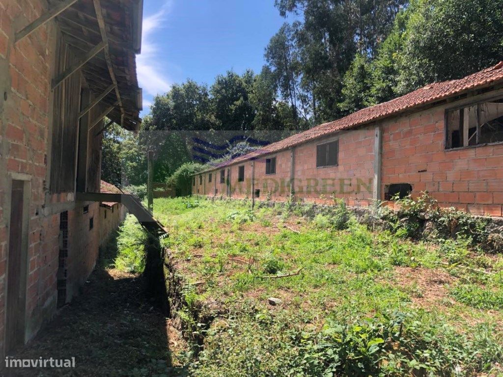  مستودع في Sever do Vouga, Portugal 1118متر مربع رقم 257987