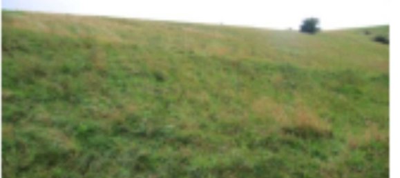 1 room Warehouse in Roveré Veronese, Italy No. 284516 7