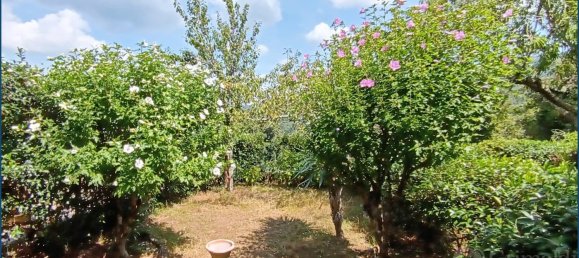 1 bedroom Apartment in Pignone, Italy No. 340970 13