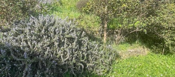 Дом с 7 комнатами в Монтиньозо, Италия № 149848 2