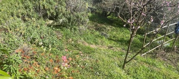 Дом с 7 комнатами в Монтиньозо, Италия № 149848 38