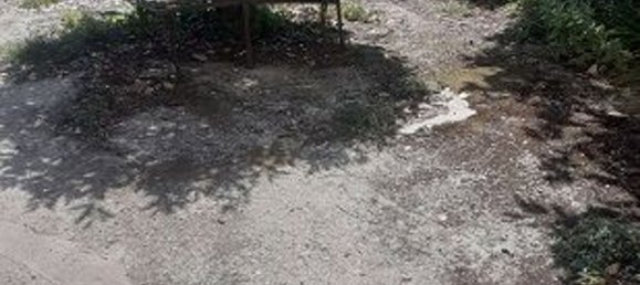 Casa de 10 dormitorios en Carrara, Italy No. 326822 30