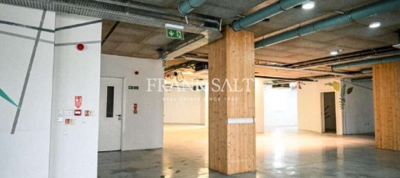  مكتب في Ta' Xbiex, Malta 1030متر مربع رقم 12750 9