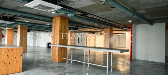  مكتب في Ta' Xbiex, Malta 1030متر مربع رقم 12750 4