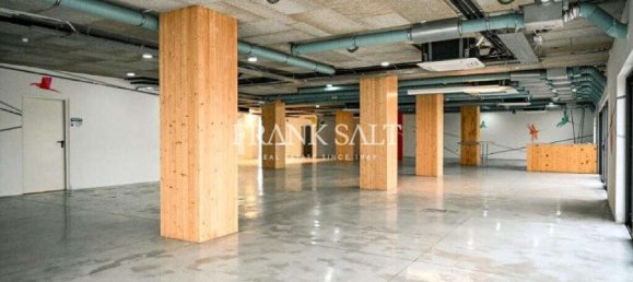  مكتب في Ta' Xbiex, Malta 1030متر مربع رقم 12750 2