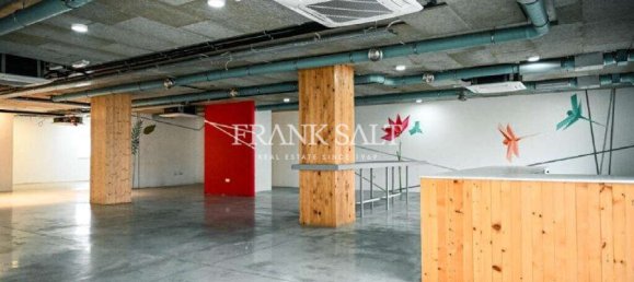  مكتب في Ta' Xbiex, Malta 1030متر مربع رقم 12750 7