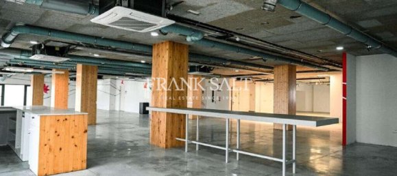  مكتب في Ta' Xbiex, Malta 1030متر مربع رقم 12750 6