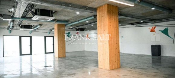  مكتب في Ta' Xbiex, Malta 1030متر مربع رقم 12750 3