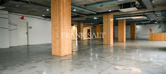  مكتب في Ta' Xbiex, Malta 1030متر مربع رقم 12750 5