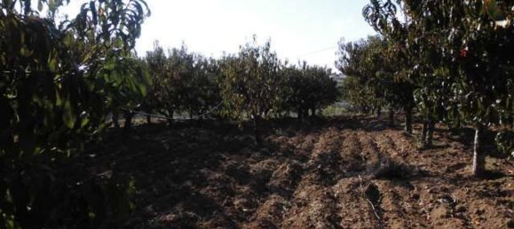 Terreno em Agrigento, Italy 1868 m² N.º 178096 6