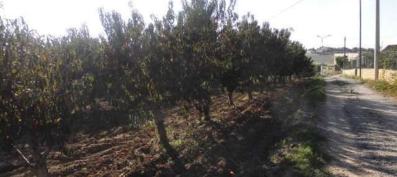 Terreno em Agrigento, Italy 1868 m² N.º 178096 4