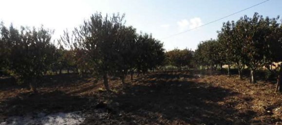 Terreno em Agrigento, Italy 1868 m² N.º 178096 2