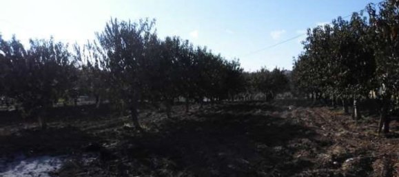 Terreno em Agrigento, Italy 1868 m² N.º 178096 9