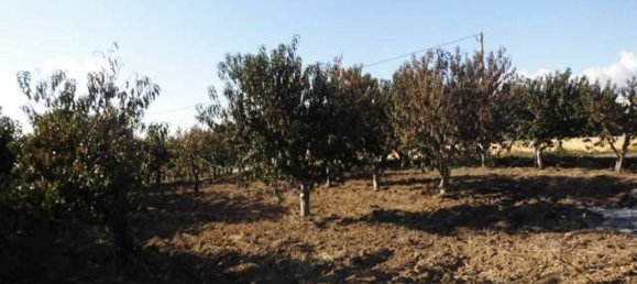 Terreno em Agrigento, Italy 1868 m² N.º 178096 8