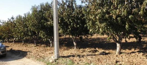 Terreno em Agrigento, Italy 1868 m² N.º 178096 7