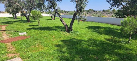 3 chambres Terrain à San Donato di Lecce, Italy No. 371564 29