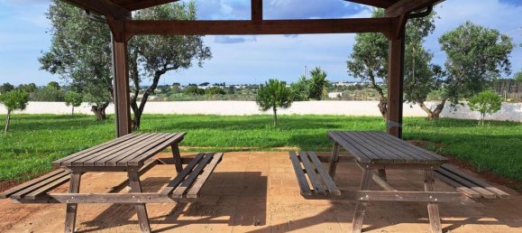 3 chambres Terrain à San Donato di Lecce, Italy No. 371564 27